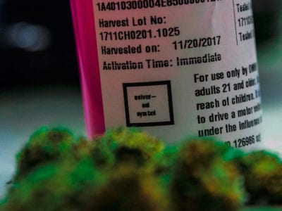 cannabis label printing company Boston MA