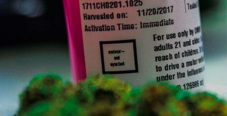 cannabis label printing company Boston MA