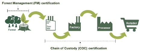 FSC and COC Flow Chart | Royal Labe
l
